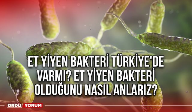 Et yiyen bakteri Türkiye'de varmı? Et yiyen bakteri olduğunu nasıl anlarız?