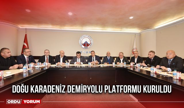 Doğu Karadeniz Demiryolu Platformu Kuruldu