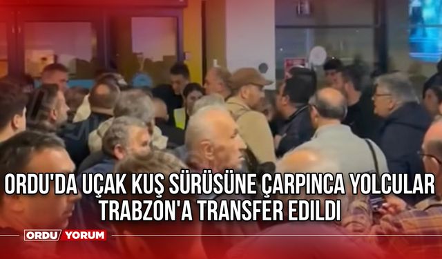 Ordu'da Uçak Kuş Sürüsüne Çarpınca Yolcular Trabzon'a Transfer Edildi