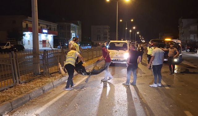 Samsun'da köpeğe vurmamak için manevra yapınca bariyere çarpan araçtaki 3 kişi yaralandı