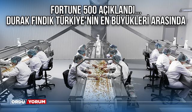 Fortune 500 açıklandı... Durak Fındık Türkiye'nin en büyükleri arasında