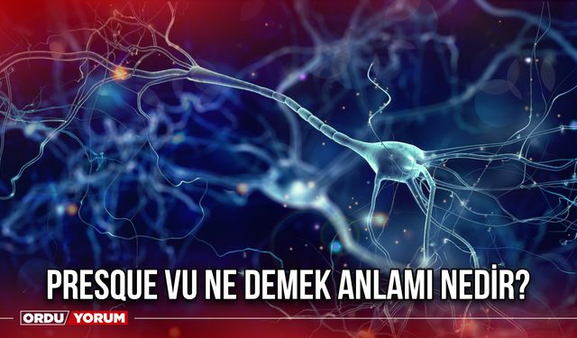 Presque vu ne demek anlamı nedir?