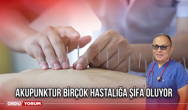 Akupunktur Birçok Hastalığa Şifa Oluyor