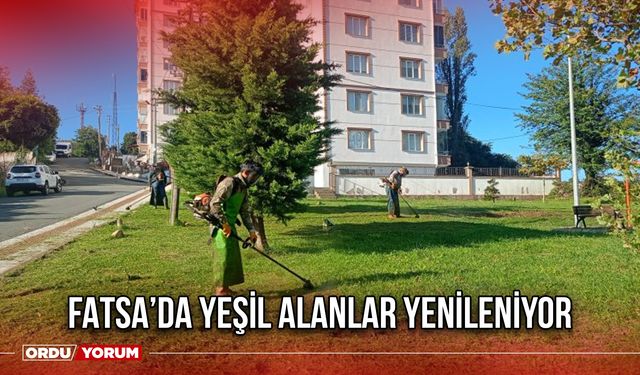 Fatsa’da Yeşil Alanlar Yenileniyor