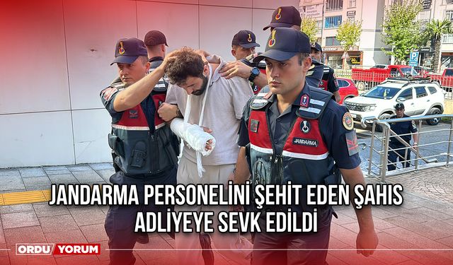 Jandarma Personelini Şehit Eden Şahıs Adliyeye Sevk Edildi