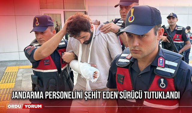 Jandarma Personelini Şehit Eden Sürücü Tutuklandı