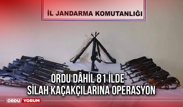 Ordu Dâhil 81 İlde Silah Kaçakçılarına Operasyon