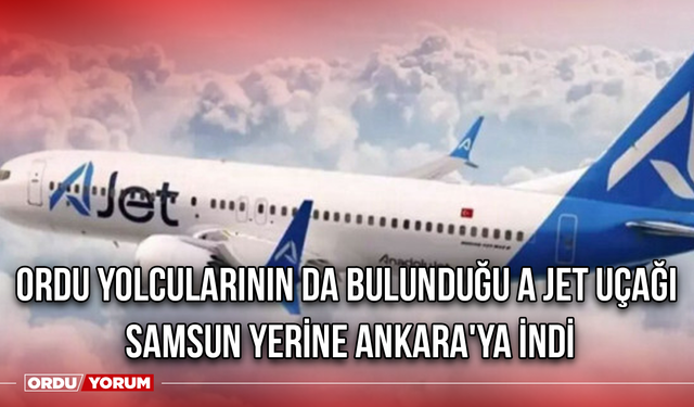 Ordu Yolcularının Da Bulunduğu A Jet Uçağı, Samsun Yerine Ankara'ya İndi