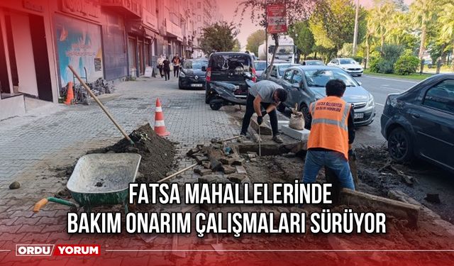 Fatsa Mahallelerinde Bakım Onarım Çalışmaları Sürüyor