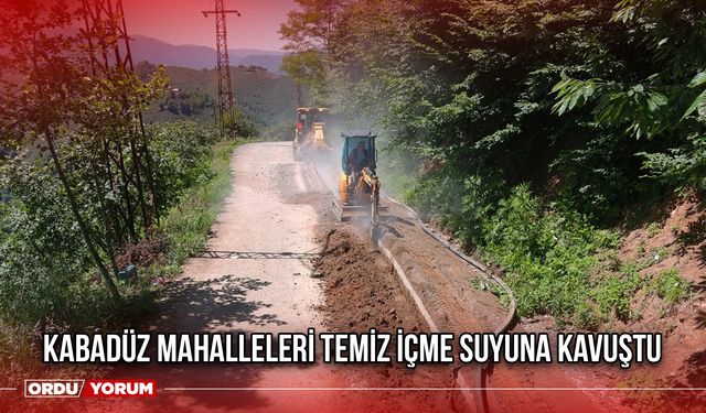 Kabadüz Mahalleleri Temiz İçme Suyuna Kavuştu