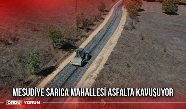 Mesudiye Sarıca Mahallesi Asfalta Kavuşuyor