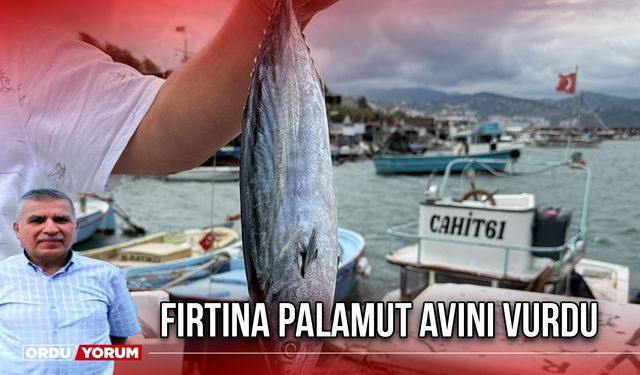 Fırtına Palamut Avını Vurdu