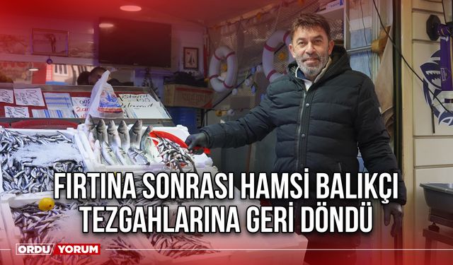 Fırtına Sonrası Hamsi Balıkçı Tezgahlarına Geri Döndü