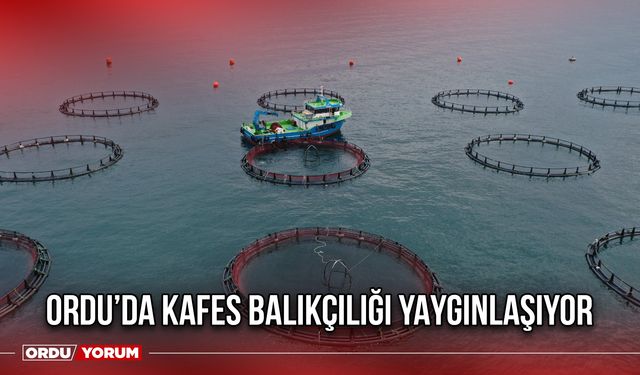 Ordu’da Kafes Balıkçılığı Yaygınlaşıyor