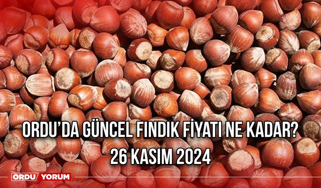 Ordu'da fındık fiyatı sabit kaldı! 28 Kasım 2024