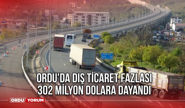 Ordu'da dış ticaret fazlası 302 milyon dolara dayandı