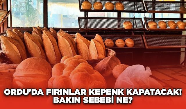 Ordu'da fırınlar kepenk kapatacak! Bakın sebebi ne?