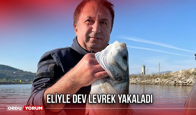 Eliyle Dev Levrek Yakaladı