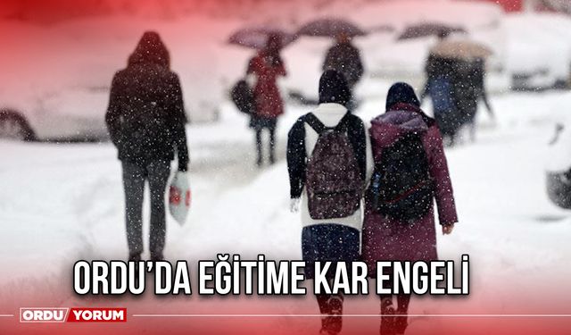 Ordu’da Eğitime Kar Engeli