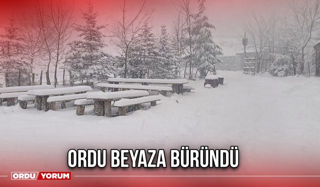 Ordu Beyaza Büründü