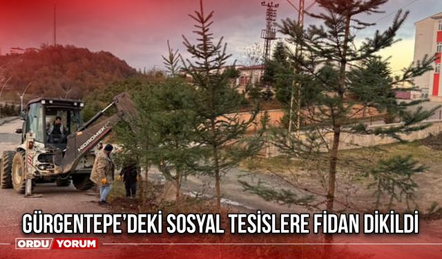 Gürgentepe’deki Sosyal Tesislere Fidan Dikildi