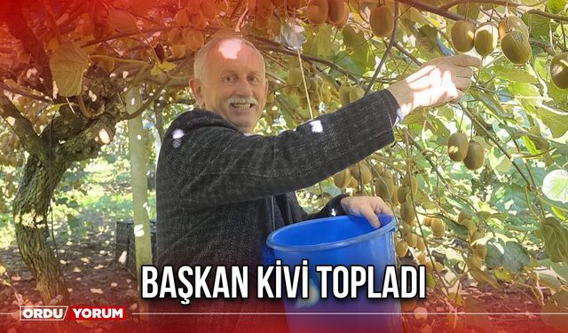 Başkan Kivi Topladı