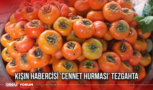 Kışın Habercisi 'Cennet Hurması' Tezgahta