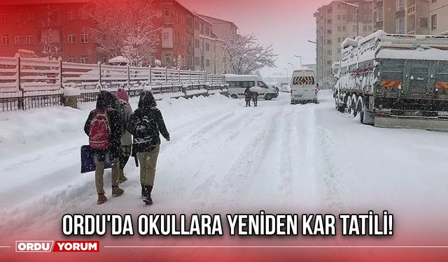 Ordu'da Okullara Yeniden Kar Tatili!