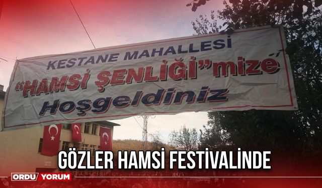 Gözler Hamsi Festivalinde