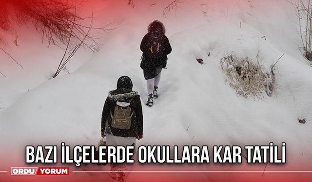 Bazı İlçelerde Okullara Kar Tatili