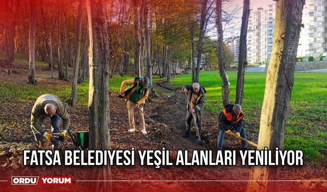 Fatsa Belediyesi Yeşil Alanları Yeniliyor