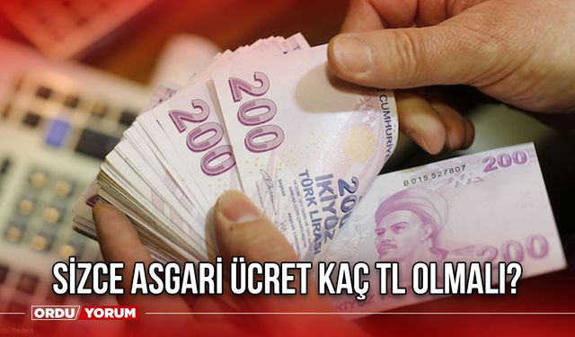 Sizce Asgari Ücret Kaç TL Olmalı?