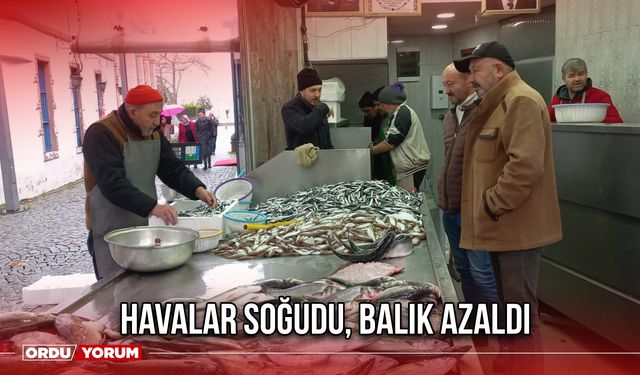 Havalar Soğudu, Balık Azaldı