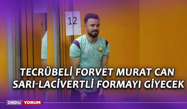 Tecrübeli Forvet Murat Can, Sarı-Lacivertli Formayı Giyecek