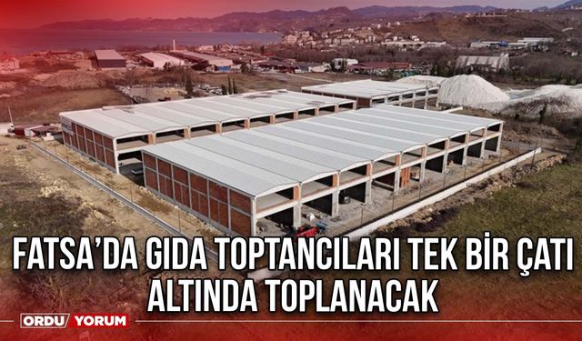 Fatsa’da gıda toptancıları tek bir çatı altında toplanacak