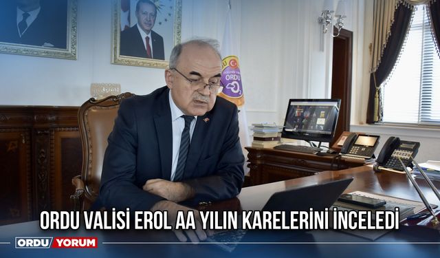Ordu Valisi Erol AA Yılın Karelerini İnceledi