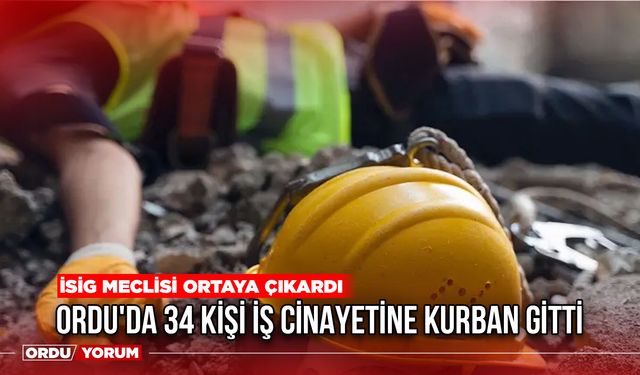 Ordu'da 34 Kişi İş Cinayetine Kurban Gitti