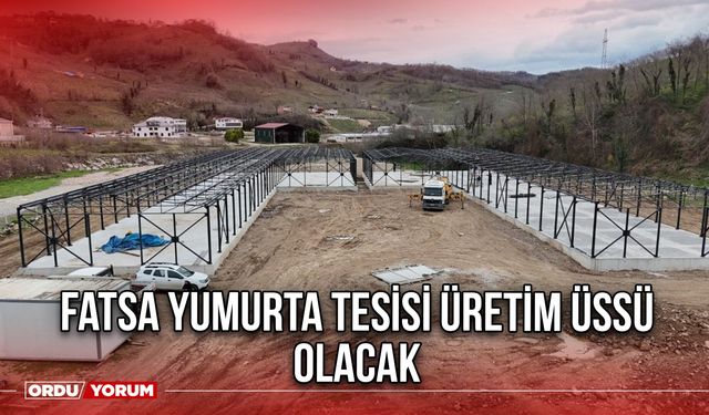 Fatsa Yumurta üretim Tesisi üretim üssü olacak