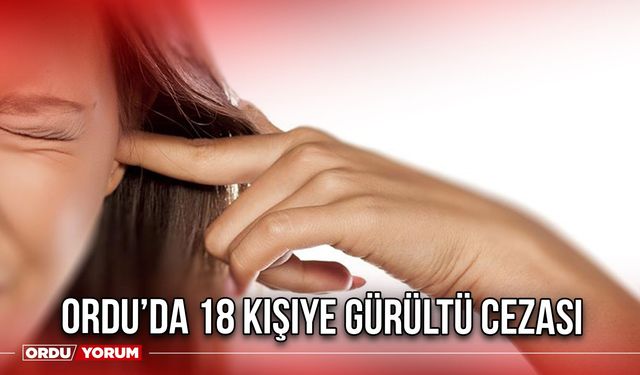 18 Kişiye Gürültü Cezası