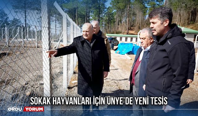 Sokak Hayvanları İçin Ünye’de Yeni Tesis