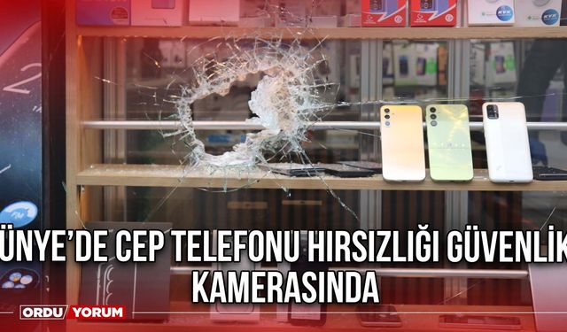 Ünye’de Cep Telefonu Hırsızlığı Güvenlik kamerasında