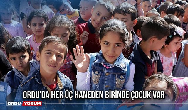 Ordu'da Her Üç Haneden Birinde Çocuk Var