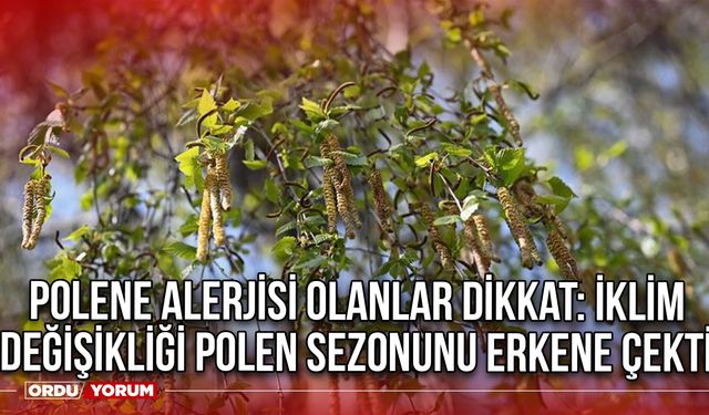 Polene Alerjisi Olanlar Dikkat: İklim değişikliği polen sezonunu erkene çekti