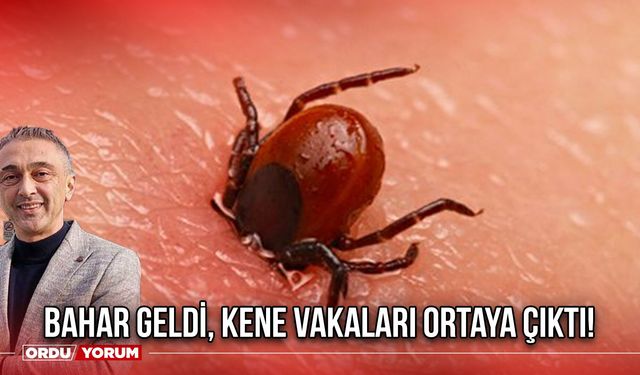 Bahar Geldi, Kene Vakaları Ortaya Çıktı!