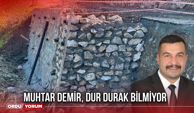 Muhtar Demir, Dur Durak Bilmiyor
