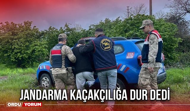 Jandarma Kaçakçılığa Dur Dedi
