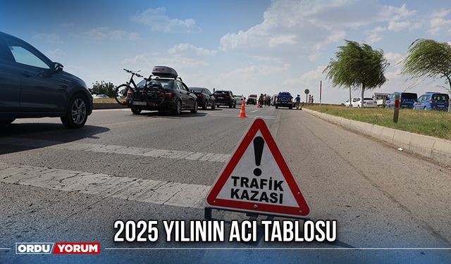 2025 Yılının Acı Tablosu