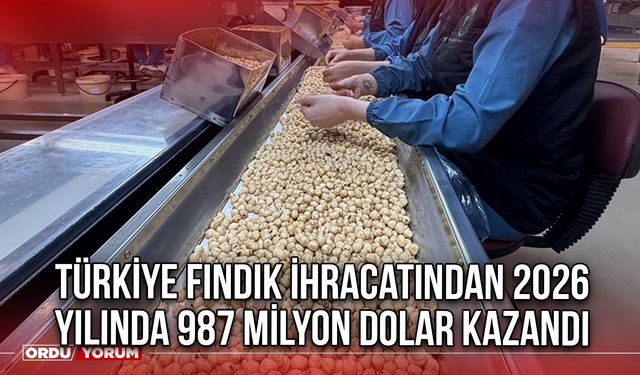 Türkiye Fındık İhracatından 2026 Yılında 987 Milyon Dolar Kazandı