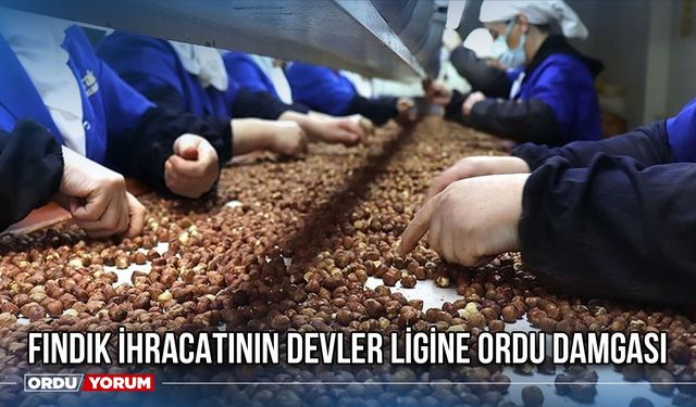 Fındık İhracatının Devler Ligine Ordu Damgası