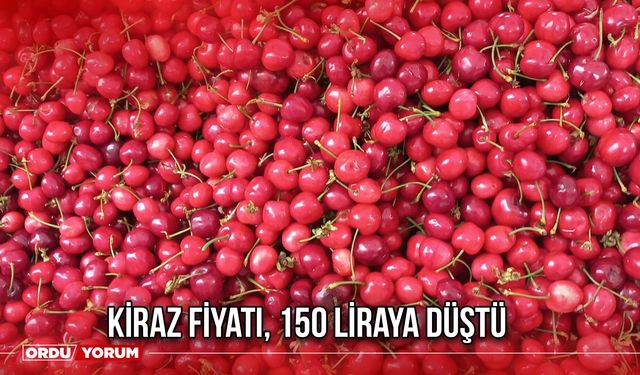 Kiraz Fiyatı, 150 Liraya Düştü